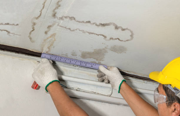 Reliable Water Damage Repair contractor in Morton, WA by Aqua Guard Water Damage